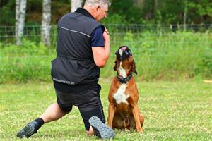 FB_IMG_1561928204525