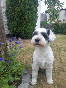 IMG-20180709-WA0000