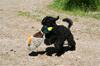 lger_kaysa_app_and