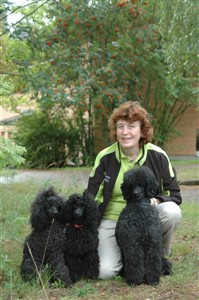 aug09__vrdhundar_JF_K_Hrliga_hund_583