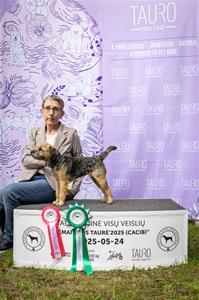 Palanga Otti juniorchampion