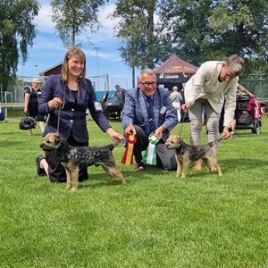 Messenger_creation_DE8FA43E-DF65-41B2-9039-41AD1E9559E5