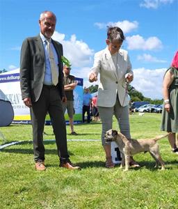 Loki utst&auml;llning Tjeckien