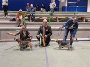 Kristiansand 27 april Int Dogshow