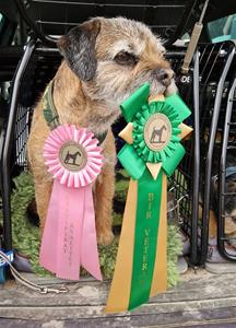 FB_IMG_1762968176360