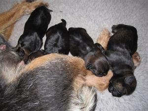 IMG_4279 IMG_4279