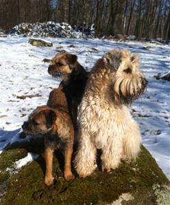 Vanja, Mona & Miley