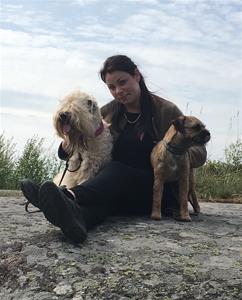 åland 16 åland 16
