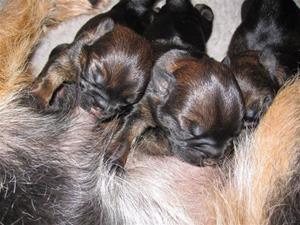 IMG_4281 IMG_4281