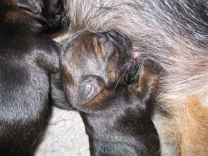 IMG_4277 IMG_4277