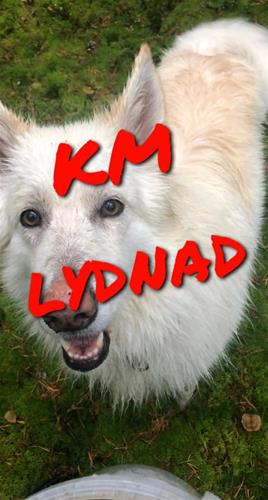 km lydnad -21 km lydnad -21