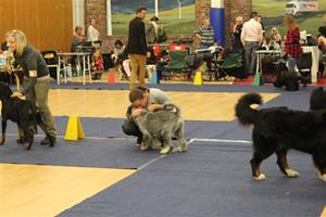 IMG_5477
