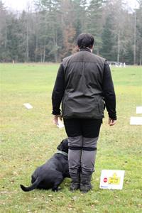 IMG_2927 IMG_2927