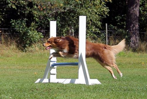11903780_880630368640676_1590737849275337161_n 11903780_880630368640676_1590737849275337161_n