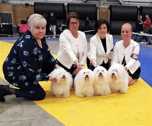 Uppfödargrupp svensk vinnare Uppfödargrupp svensk vinnare