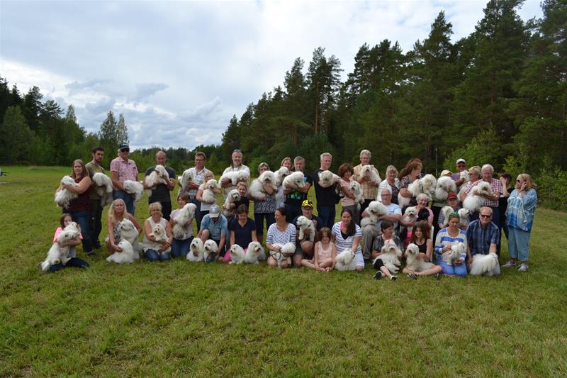 Cotondagen 2016 Cotondagen 2016