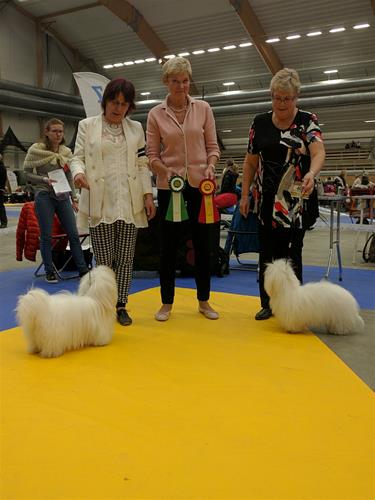 Sundsvall 161015 bir o bim Sundsvall 161015 bir o bim