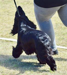 IMG_0417 IMG_0417