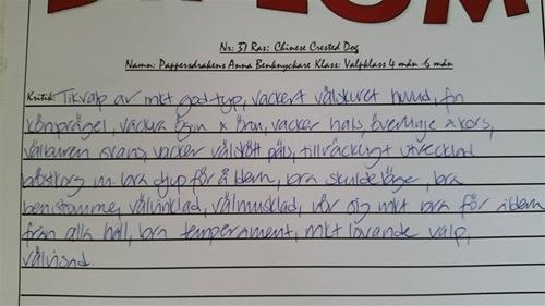 Annas omdöme