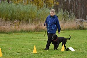 aDSC_2215