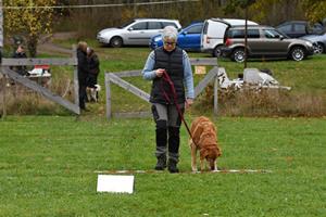 aDSC_2112