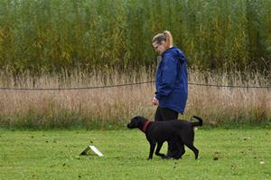 aDSC_2228