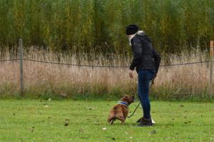 aDSC_2311