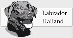 Labradorklubb-Halland