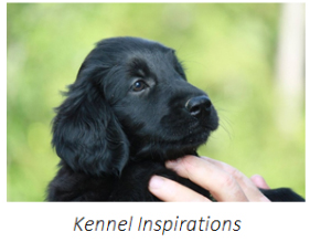 Kennel_inspirations_2022