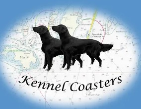 Coasters