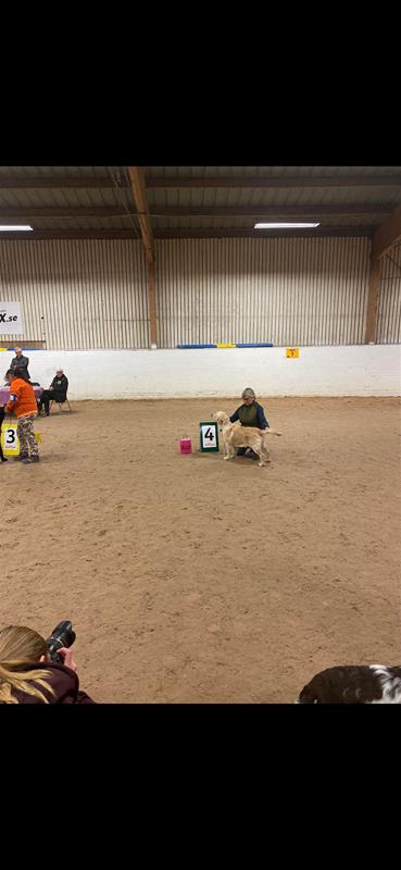 277316306_1064444317446197_8051125925312030940_n 277316306_1064444317446197_8051125925312030940_n