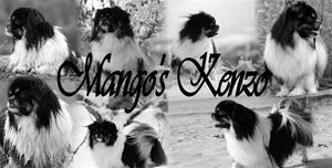 headerkenzoblogg1