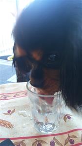 Bertha förser sig med ett glas vatten :)
