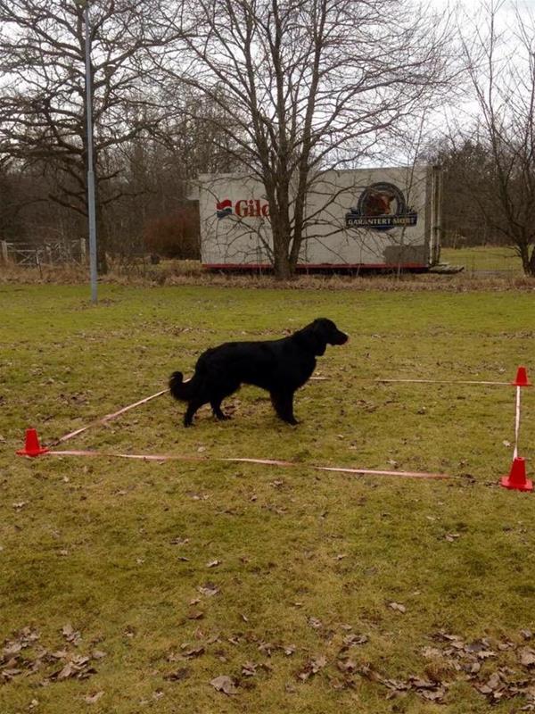 1276_999607166776955_329446725307340699_n 1276_999607166776955_329446725307340699_n