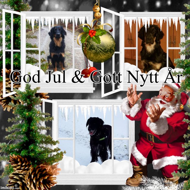 Merry Christmas - 2zxDa-4Pf3A - normal Merry Christmas - 2zxDa-4Pf3A - normal