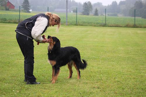 IMG_2058 IMG_2058