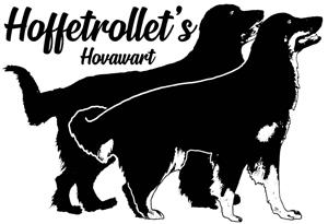 thumbnail_hoffetrollets thumbnail_hoffetrollets
