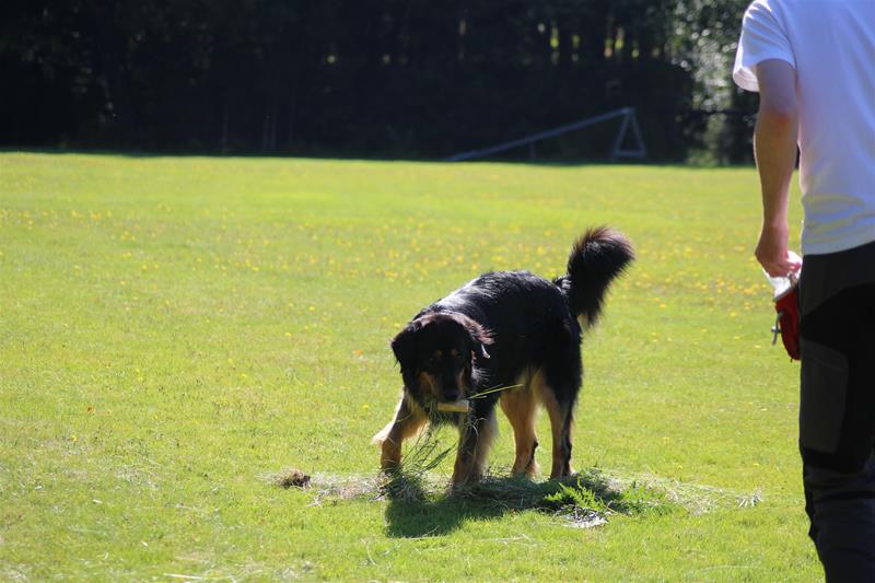 IMG_8975 IMG_8975