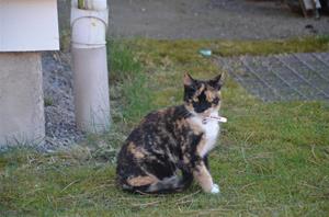 DSC_2169 DSC_2169