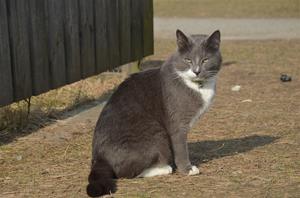 DSC_1392 DSC_1392
