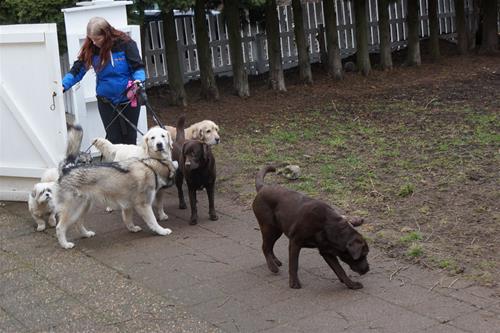 DSC00562 DSC00562