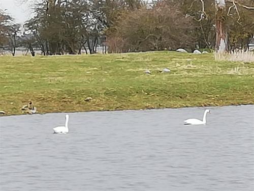 IMG_20190320_142620 IMG_20190320_142620