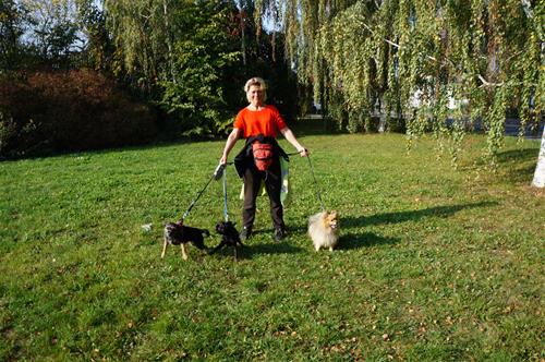 DSC04969 DSC04969