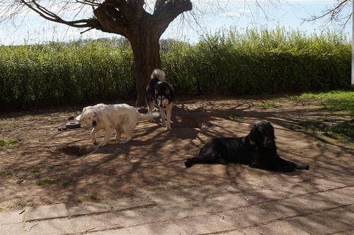 DSC03530 DSC03530