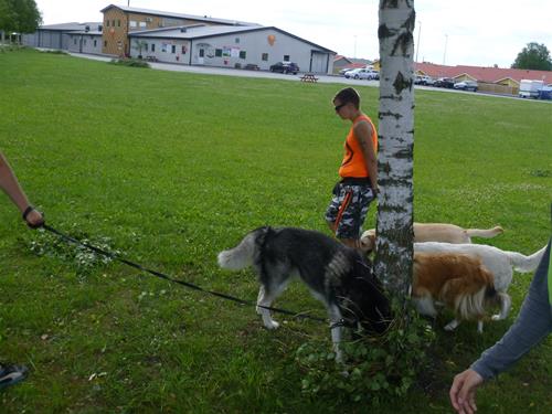 P1080237 P1080237