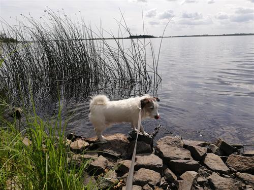 IMG_20190807_131435 IMG_20190807_131435