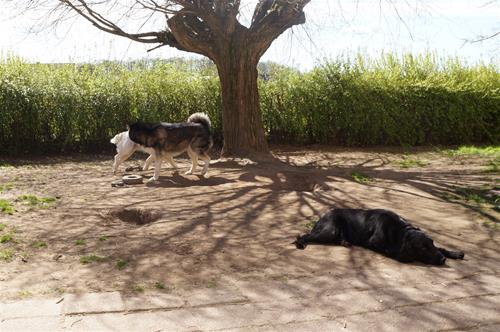 DSC03529 DSC03529
