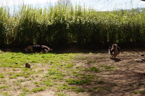 DSC03540 DSC03540