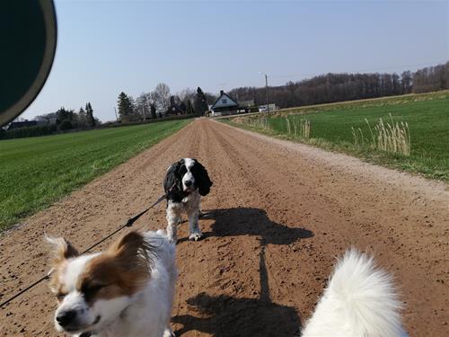 IMG_20190405_120819 IMG_20190405_120819