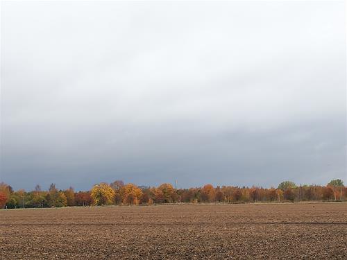 IMG_20201028_102739 IMG_20201028_102739